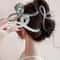Elegant Jelly Color Bow Hair Claw Fashionable Hair Clip for Women and Girls Sweet Bow Hairpin Accessory