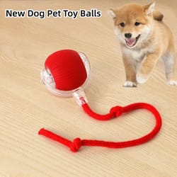 interactive pet toy rechargeable ball for dogs & cats electric rolling tail ball with automatic movement
