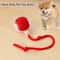 Interactive Pet Toy Rechargeable Ball for Dogs & Cats Electric Rolling Tail Ball with Automatic Movement