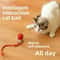 Interactive Pet Toy Rechargeable Ball for Dogs & Cats Electric Rolling Tail Ball with Automatic Movement