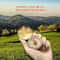 Camping Survival Compass Metal Pocket Compass for Hiking, Camping, and Outdoor Navigation Tool