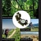 Portable Lensatic Compass Military Navigation Tool for Hiking Camping and Survival