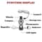 Multifunction Survival Whistle Tool with LED Light Compass Thermometer for Camping Hiking Safety