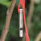 Titanium Emergency Survival Whistle High Decibel Outdoor Safety Whistle with Cord