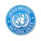 United Nations Embroidered Shoulder Patch Badge Military Uniform UN Emblem 6