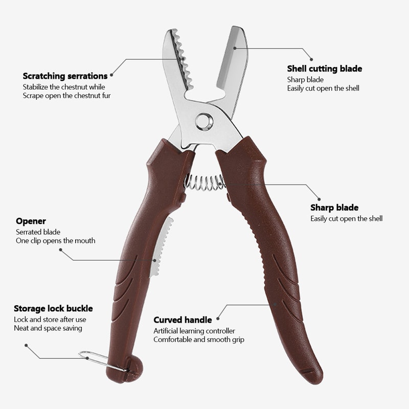Stainless Steel Chestnut Cutter Tool With Precision Blade Nut Peeler 4