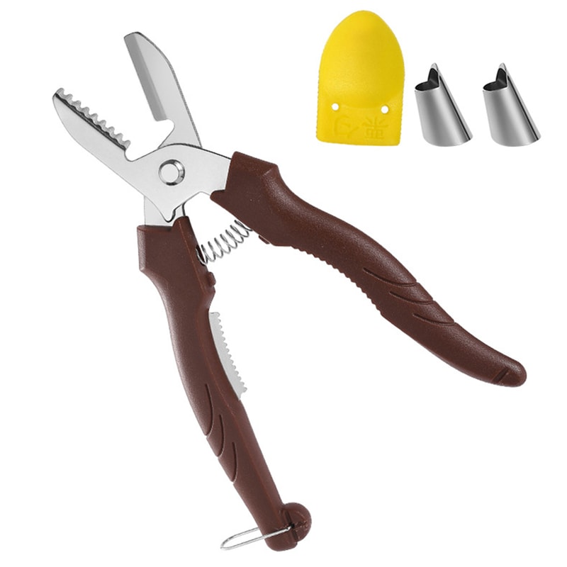 Stainless Steel Chestnut Cutter Tool With Precision Blade Nut Peeler 6