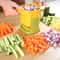 Multifunctional Vegetable Chopper Manual Onion Dicer French Fries Cutter