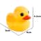 Mini Rubber Duck Bath Toys for Toddlers Squeaky Floating Baby Bathtub Toys Set