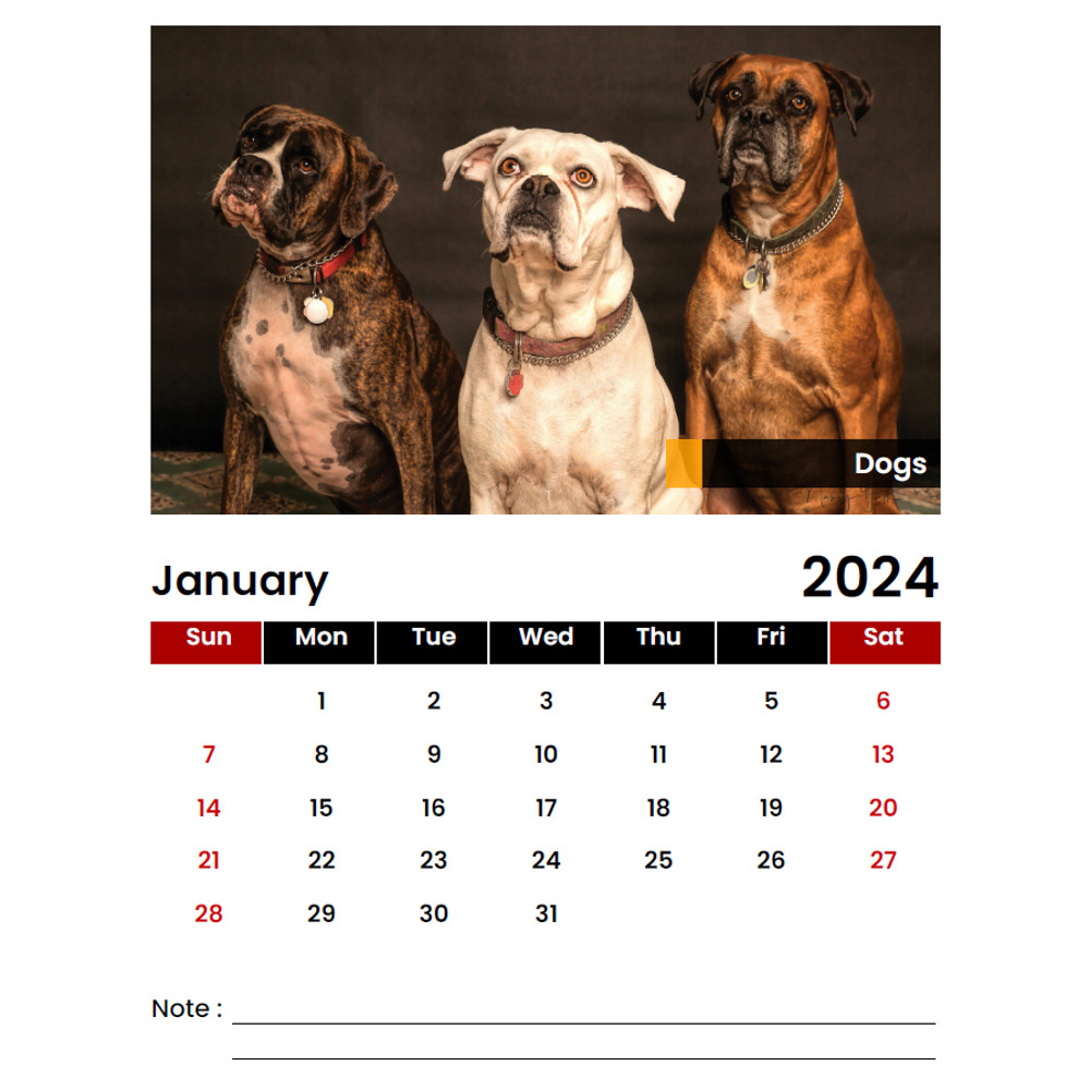 Schermafbeelding 2024-02-21 133347.png