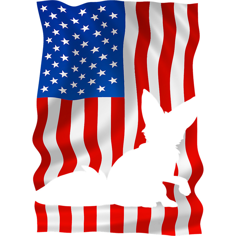 Fox Lover American Flag USA 4th of July America foxes lovers.png