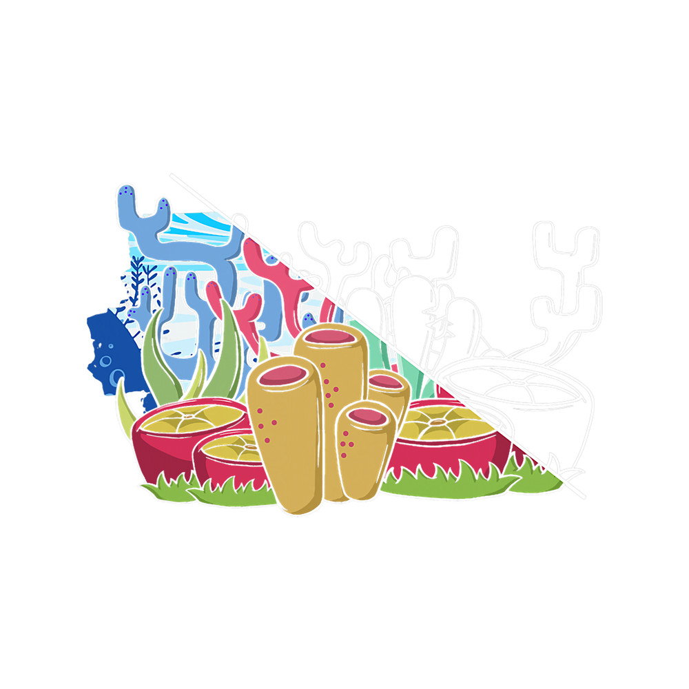 Coral Reefs Snorkling Hobby Nature Ocean.png