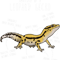 Gecko Lover Stripe Leopard Gecko Lizard Reptile Anatomy Funny Pet Mom.png