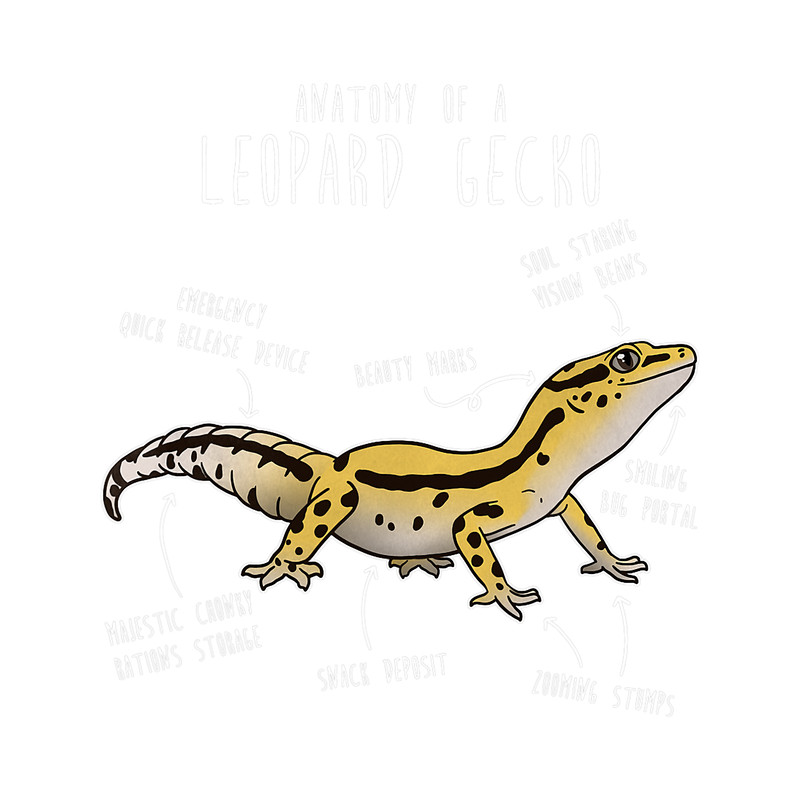 Gecko Lover Stripe Leopard Gecko Lizard Reptile Anatomy Funny Pet Mom.png