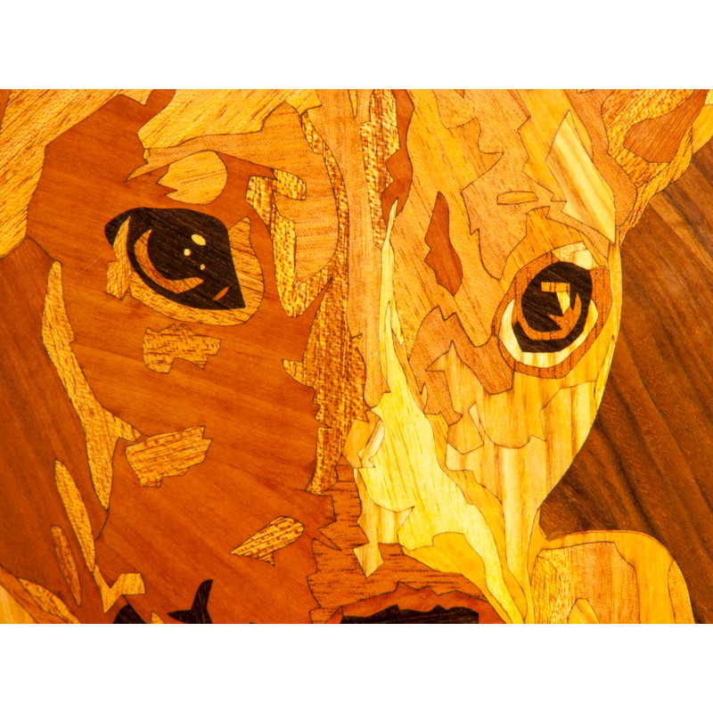 бассенджи фрагмент.jpg