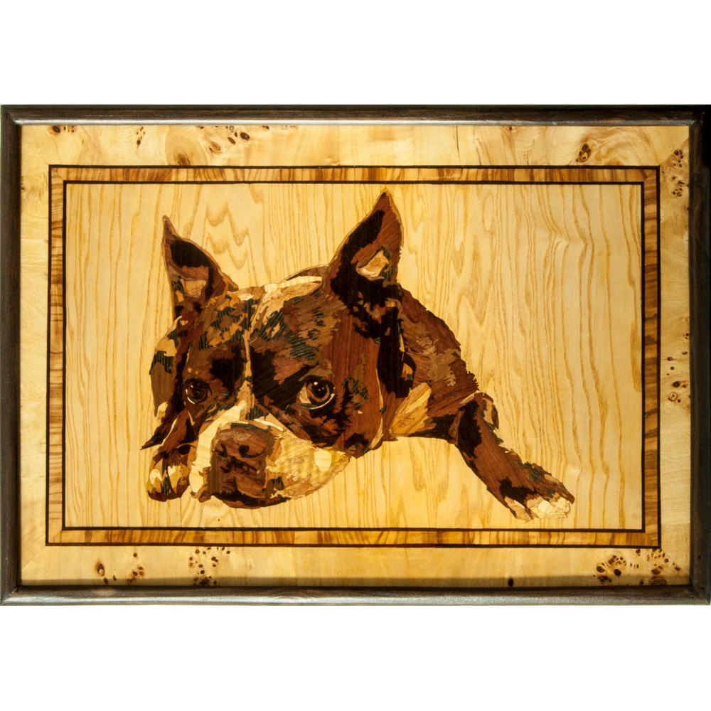 фр бульдог.jpg