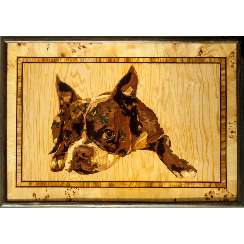 фр бульдог.jpg