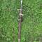 Handmade Long Straight Sword With Elegant Handle Collectible Medieval Blade Decorative Display Sw 2