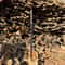 HandForged Carbon Steel Artorias Greatsword Replica 41 Dark Souls Sword Cosplay Gift 1