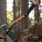 Forged Steel Viking Double Blade Axe Carved Wood Handle Collectible Outdoor Tool 3