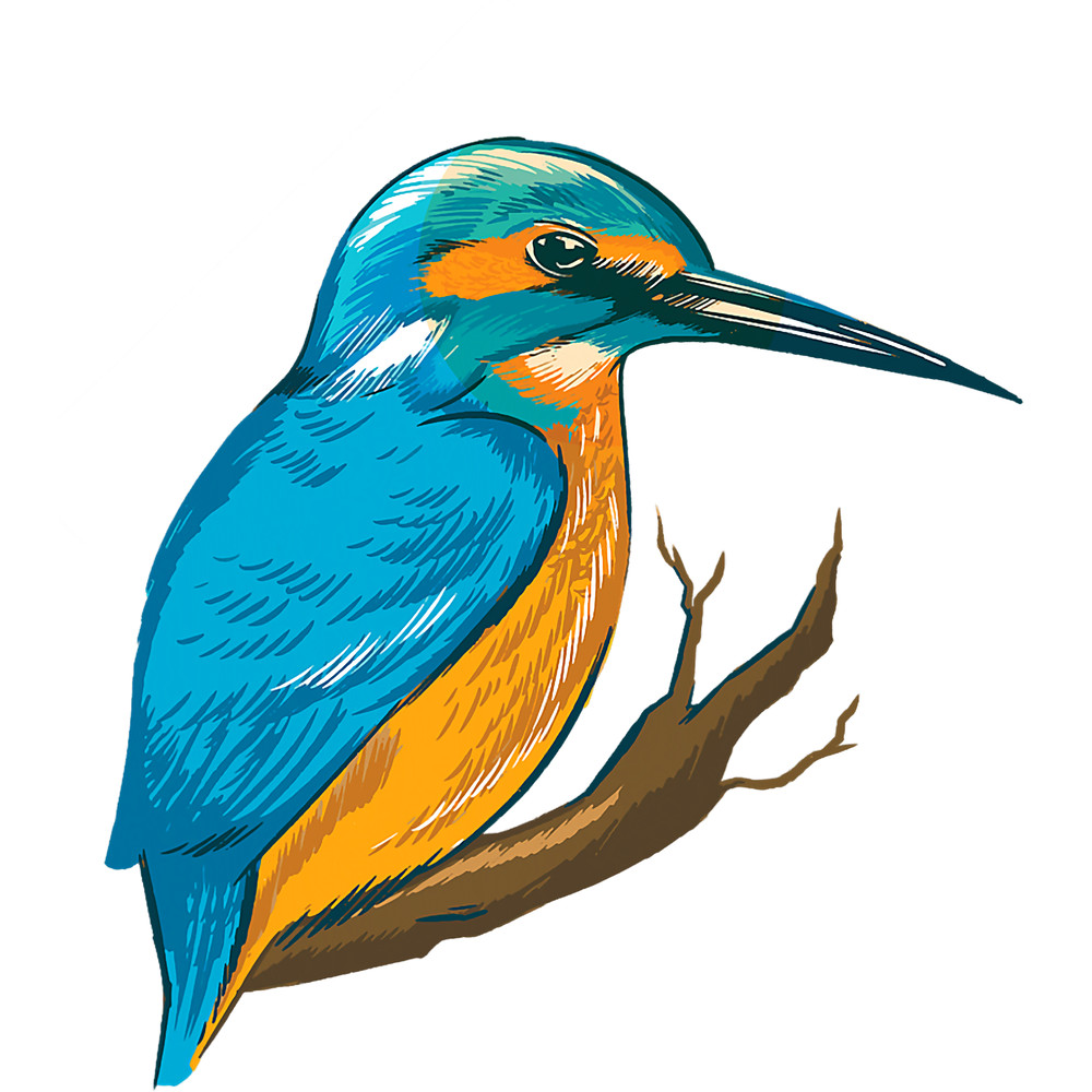 Kingfisher Bird Blue Feathered Bird Birding Bird Watching.png