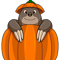 Mole Lover Fruit Pumpkin.png