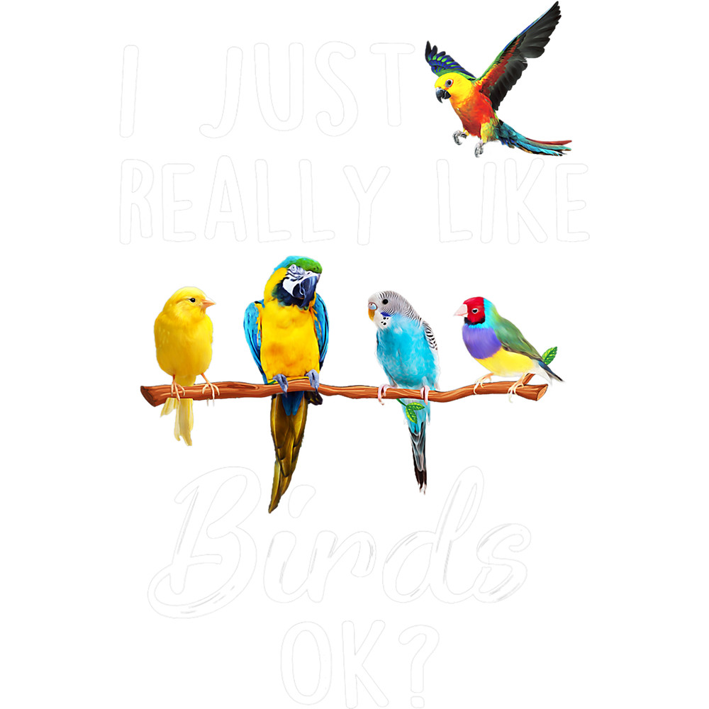 I Just Really Like Birds Ok Funny Bird Tee Men Women Kids.png