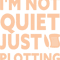 Im Not Quiet Just Plotting.png