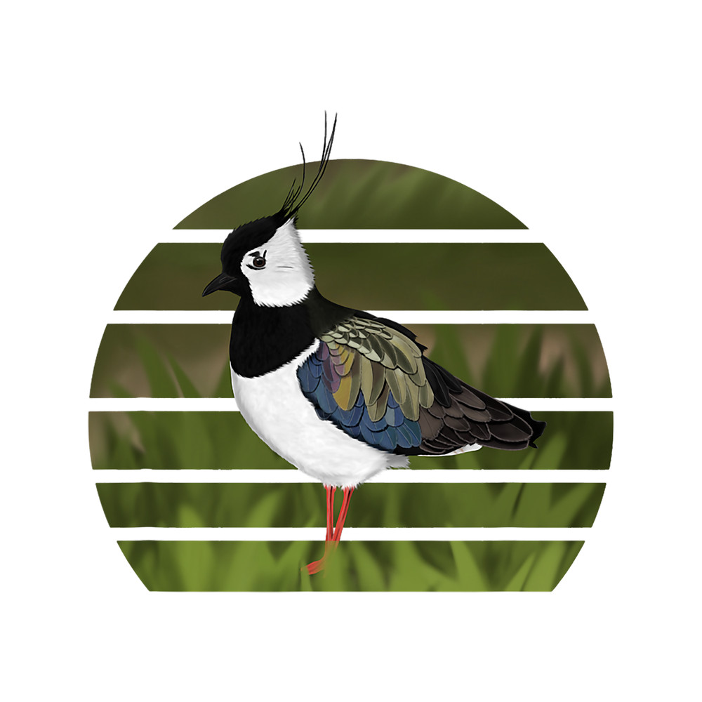 Lapwing Bird Art Birdlover Birdwatcher Biologist Ornithology.png