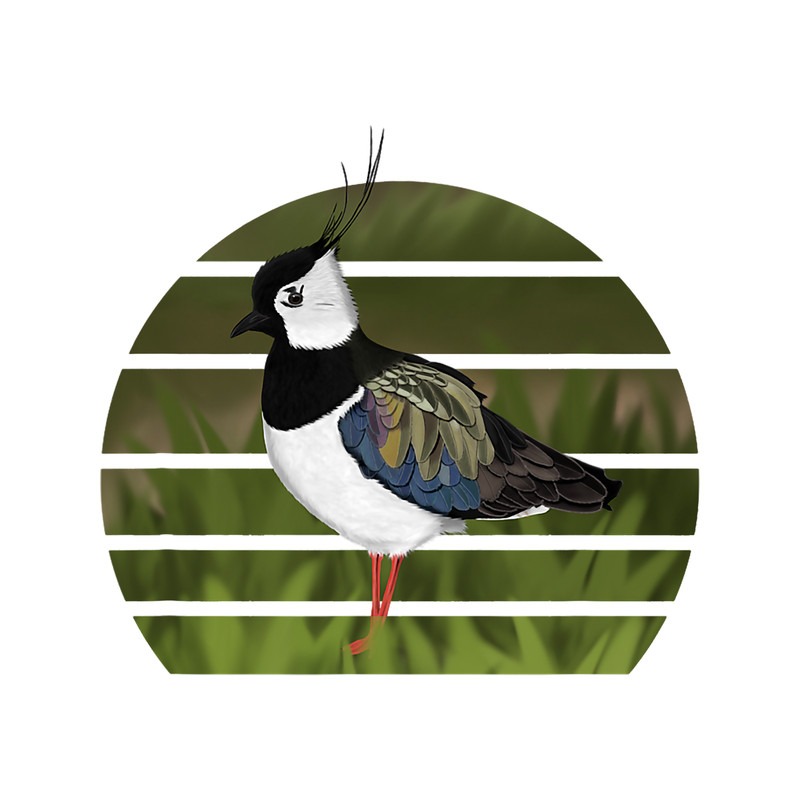 Lapwing Bird Art Birdlover Birdwatcher Biologist Ornithology.png
