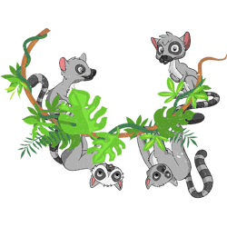 lemur over tropical madagascar monkey zoo animal lover cute lemur 1