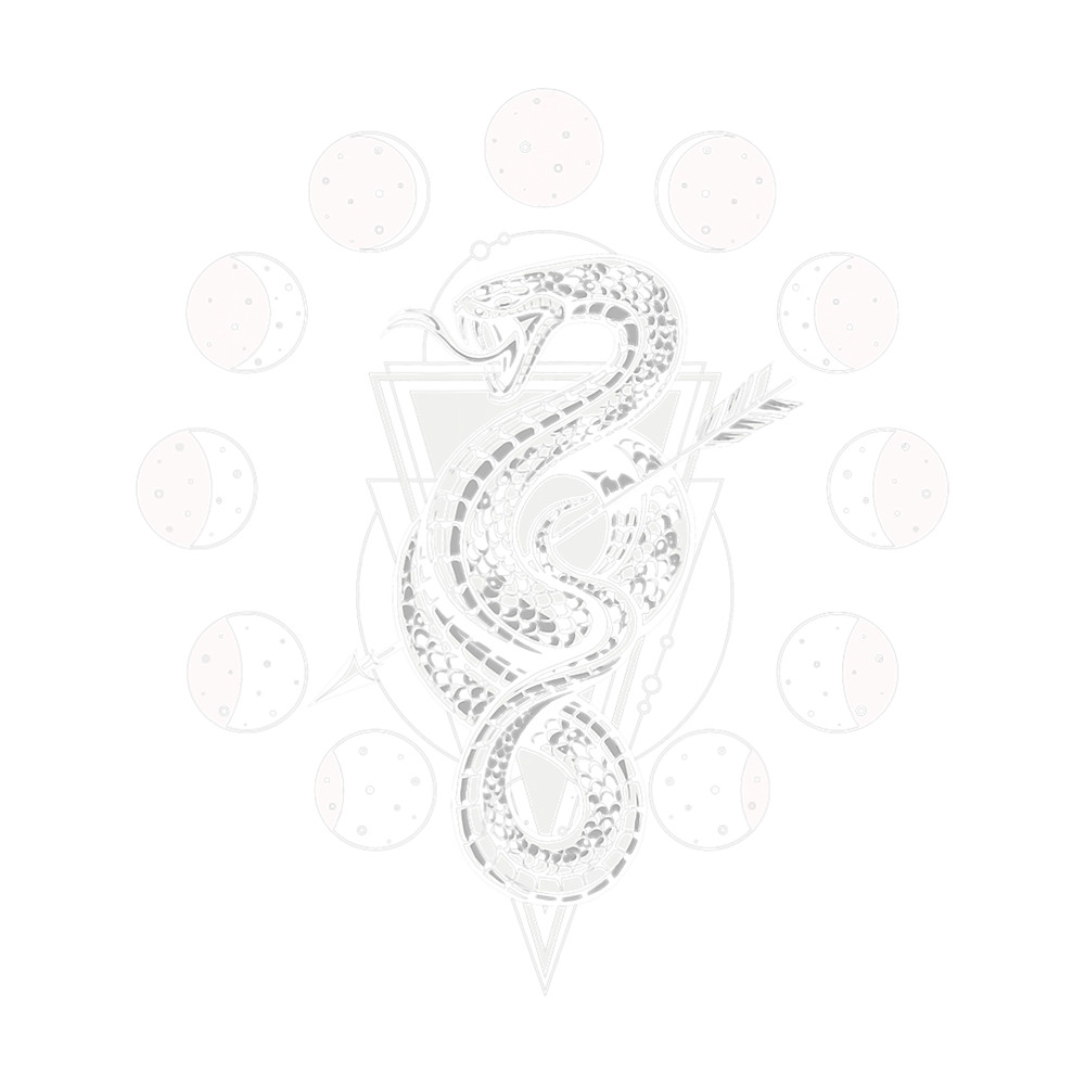 Snake Lover Moon Phases Geometry Witch Crescent.png