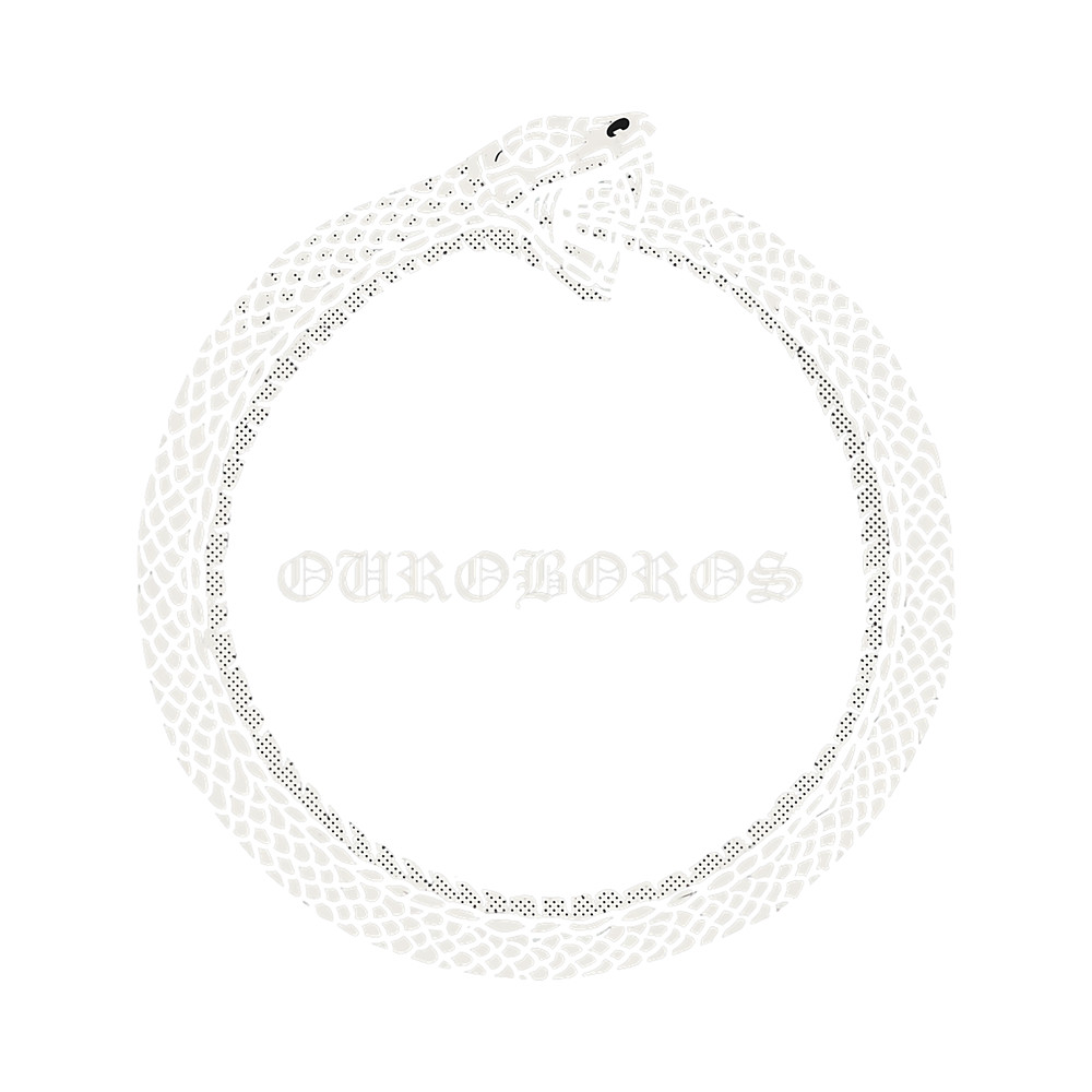 Tarot Ouroboros Card Occult Esoteric Boho Spiritual Mystic.png