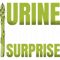 Urine For A Big Surprise Vegetable Vegan Asparagus.png