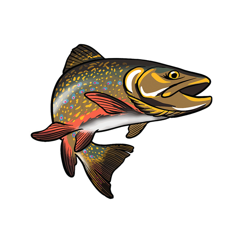 Speckled Brook Trout Fishing Drawing Illustration Graphic.png