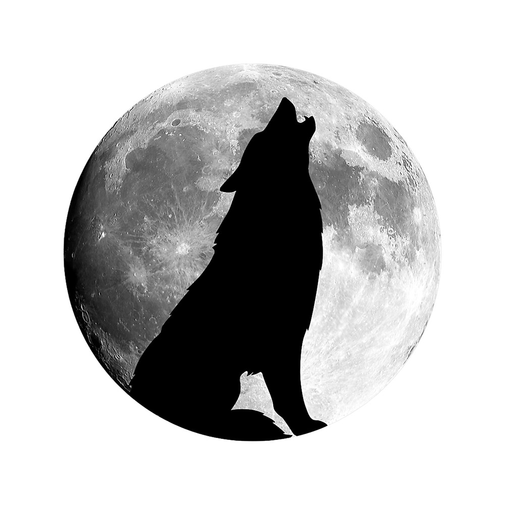 Wolf Lover howling at moon wolf.png