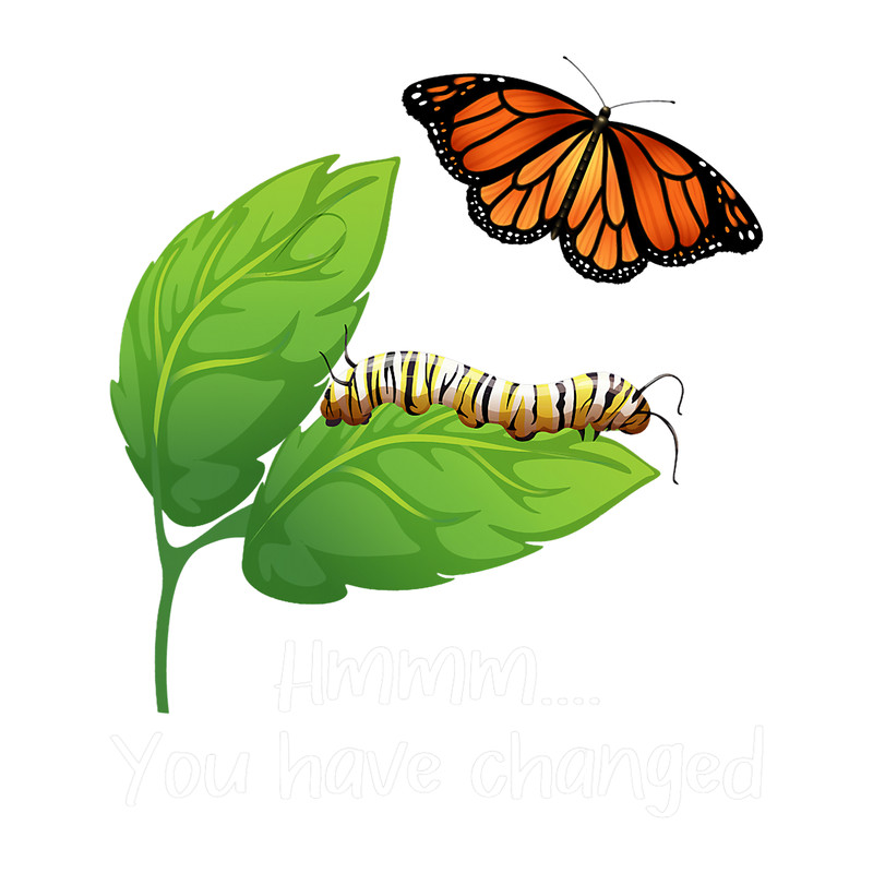 You Have Changed Butterfly Lover Butterflies Entomologist.png