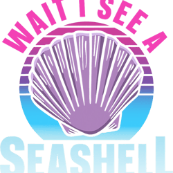 seashells wait i see a seashell beach seashells collect