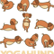 Yoga Dog Float Meditation Acro Hatha Yoga.png
