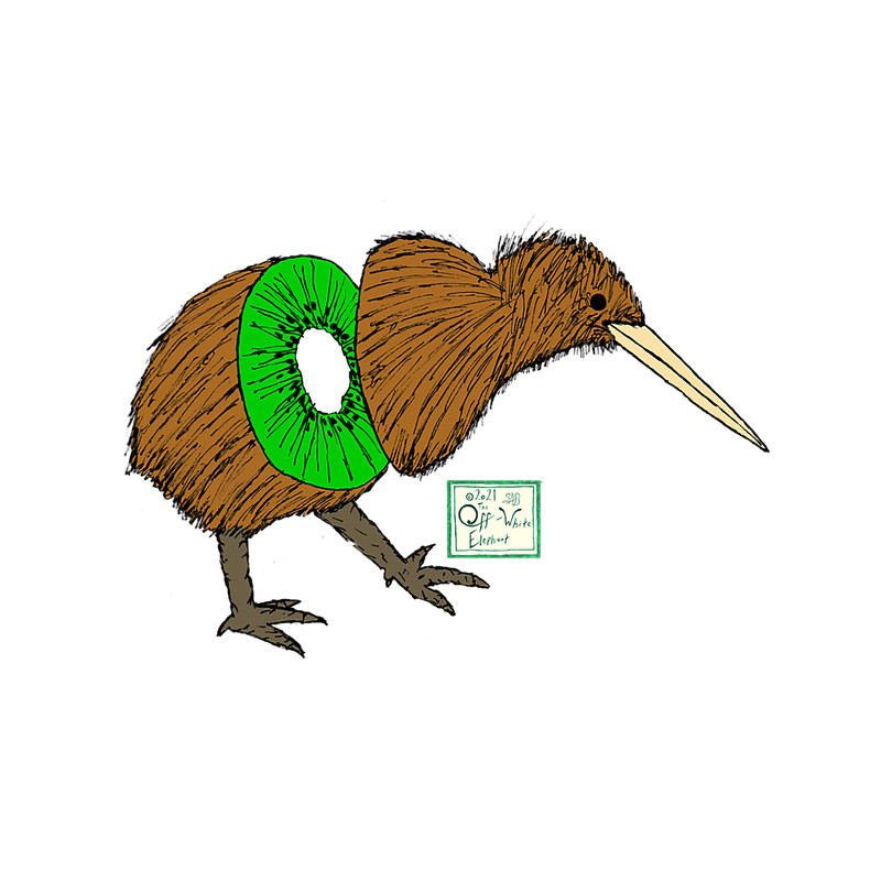 Whats Inside A Kiwi.png
