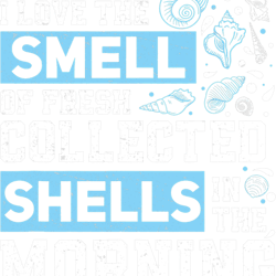 seashells love the smell of fresh collected shells seashell collecting