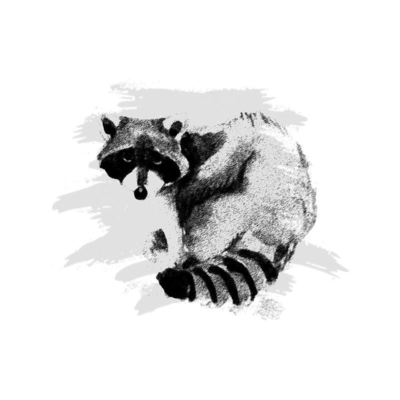 Raccoons Costume Racoon Marten Mens Gift.png