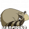 Raccoons Nachtaktiv I Funny Saying Eye Ring Gift Idea.png