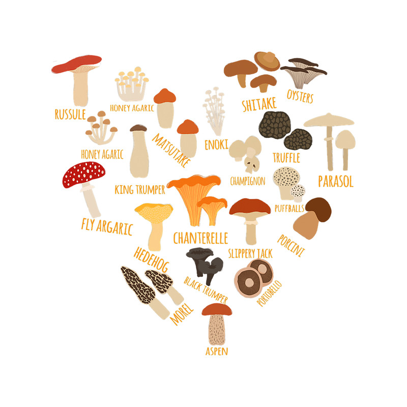 Mushroom Gift Mycology Fungi Foraging heart love chart.png