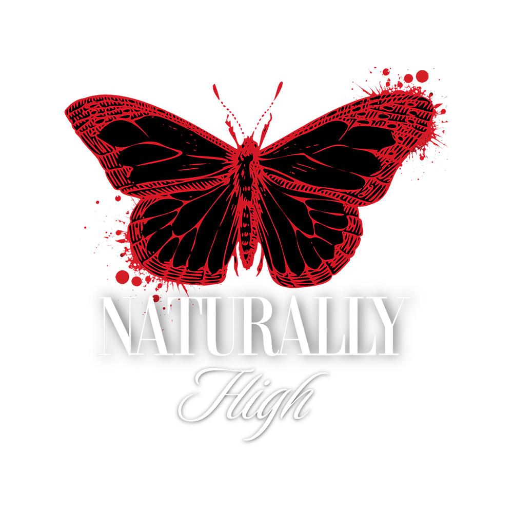 Recovery Inspiring Sobriety Naturally High Butterfly.png