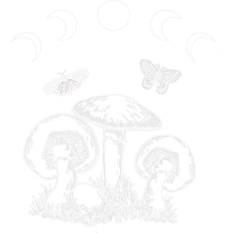 Mushroom Gift Cottagecore Aesthetic Mushroom Toadstool Moon Phases Moths.png