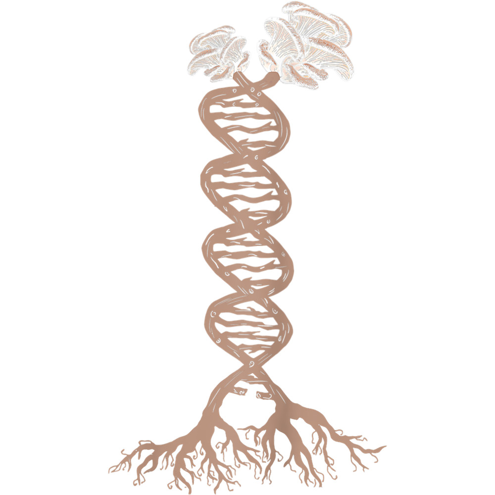 Mushroom Gift Funny Oyster Mushroom is my DNA Mycology Fungi Foraging.png