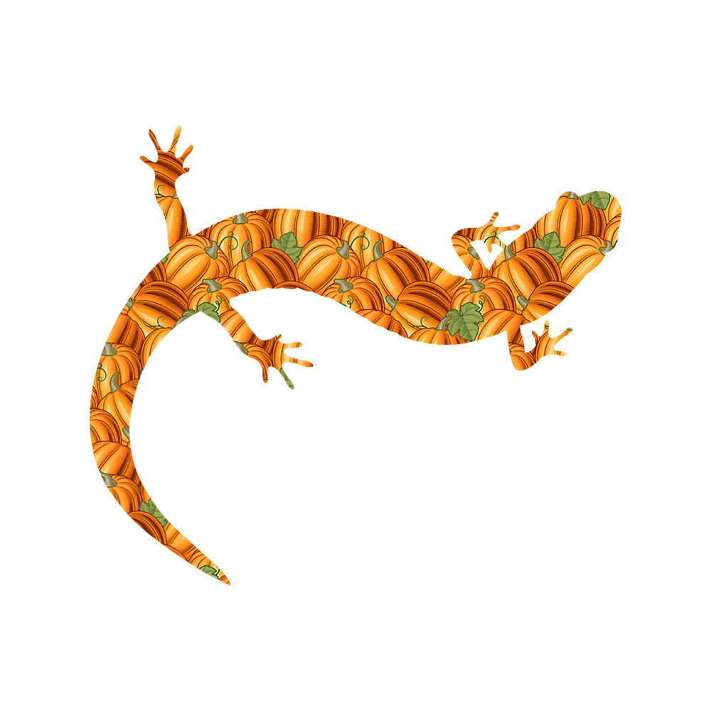 Newt Easy Halloween Costume Salamander Pet DIY Outfit Gift.png