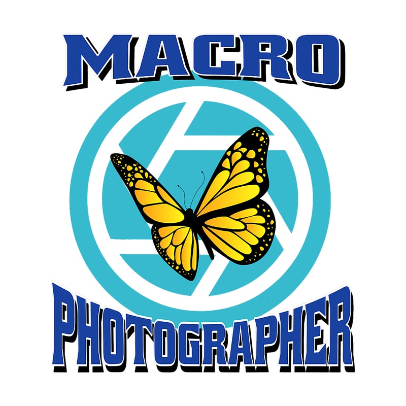 Photograph Macro Photography for Avid Photographer Enthusiasts 23.png