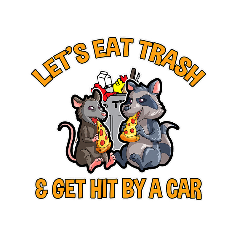 Raccoons Possum Design for Opossum and Raccoon Lover 1.png